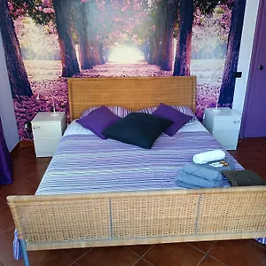 Bed & Breakfast Claudia A Monteverde, Rome